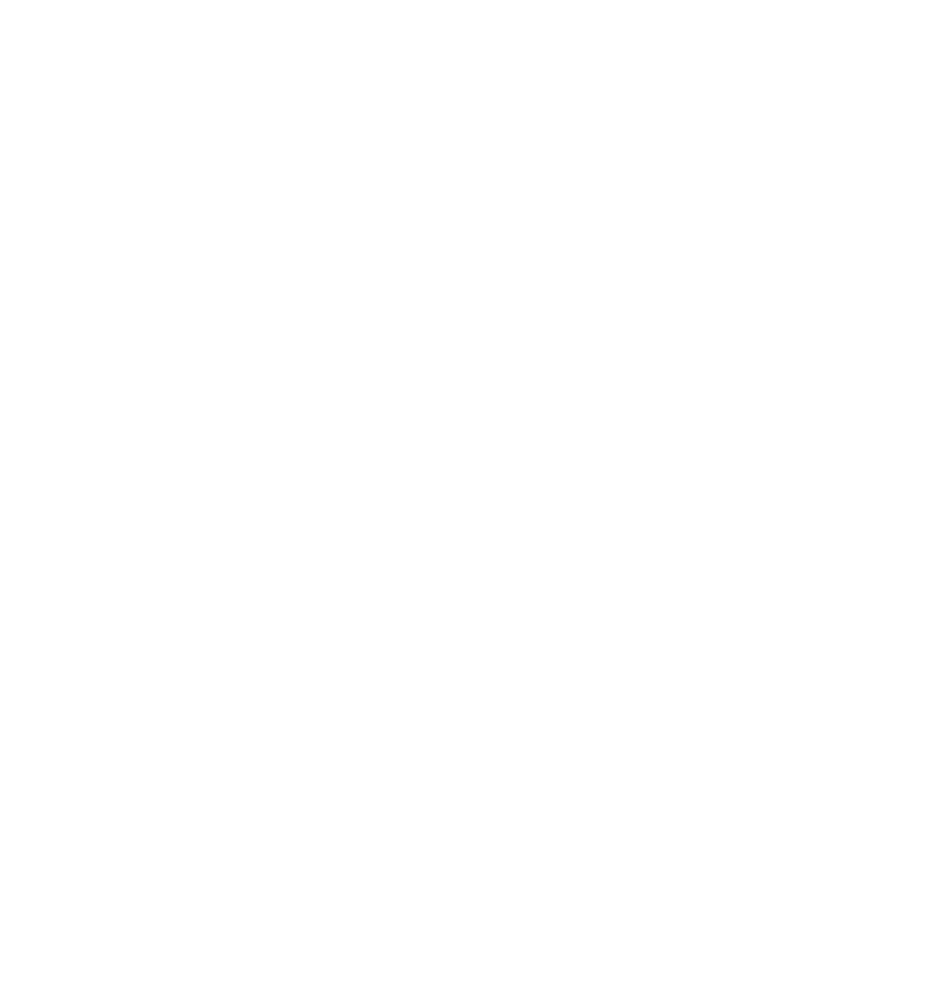 Logo icon
