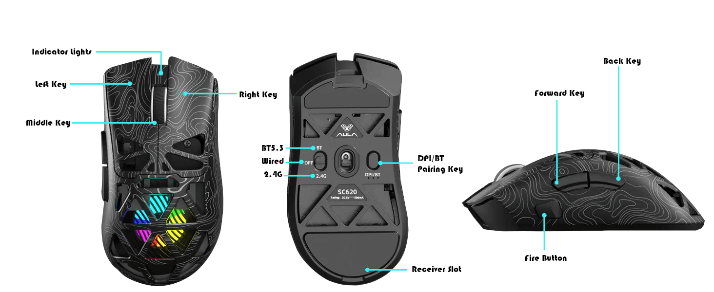 mouse_features